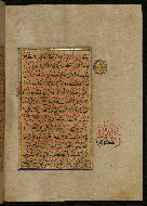 W.559, fol. 99b