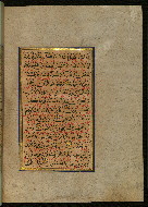 W.559, fol. 110b