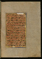 W.559, fol. 164b