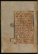 W.559, fol. 196a