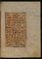 W.559, fol. 204b