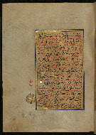 W.559, fol. 207a