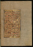 W.559, fol. 251b
