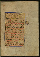 W.559, fol. 254b