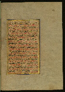 W.559, fol. 305b