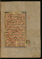 W.559, fol. 335b