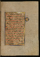 W.559, fol. 339b