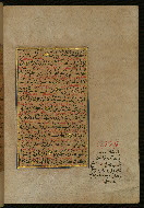 W.559, fol. 411b
