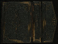 W.559, Outer board outside flap open