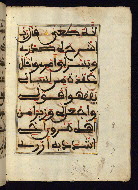 W.568, fol. 24b