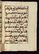 W.568, fol. 113b