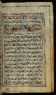 W.576, fol. 173b