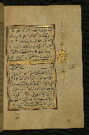 W.577, fol. 264b