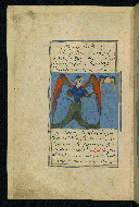 W.593, fol. 11a