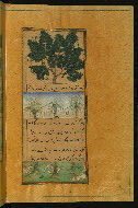 W.596, fol. 28b