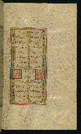 W.640, fol. 49b