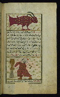 W.659, fol. 24b