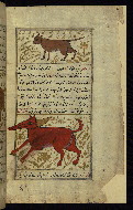 W.659, fol. 105b