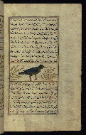 W.659, fol. 129b