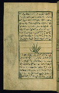 W.659, fol. 226a