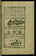 W.659, fol. 226b