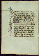 W.719, fol. 43v