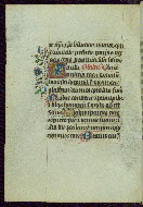 W.719, fol. 116v