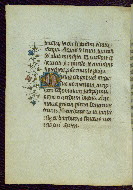 W.719, fol. 164v