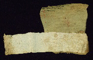 W.733, Fragment 89r