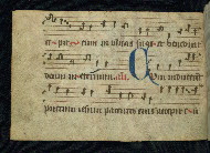 W.786, fol. 7v