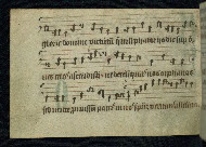 W.786, fol. 29v