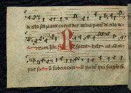 W.786, fol. 36v
