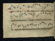 W.786, fol. 43v