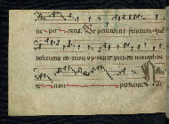 W.786, fol. 49v