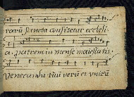 W.786, fol. M r