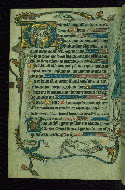 W.82, fol. 210v