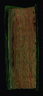 W.82, Fore-edge