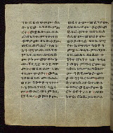 W.835, fol. 42v