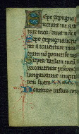 W.86, fol. 166v