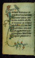 W.87, fol. 8v