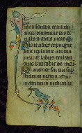 W.87, fol. 15v