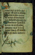 W.87, fol. 22r