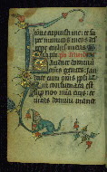 W.87, fol. 22v