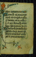 W.87, fol. 28r