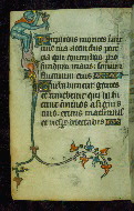 W.87, fol. 31v