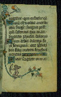 W.87, fol. 33r