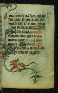 W.87, fol. 34r