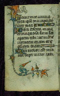 W.87, fol. 34v