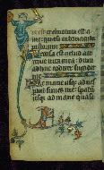 W.87, fol. 35v