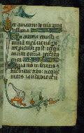 W.87, fol. 37r